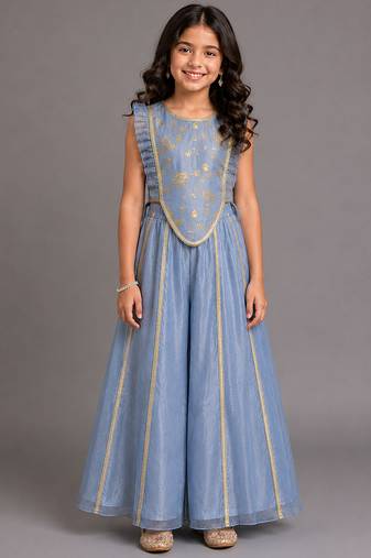 Powder blue printed organza co ord set