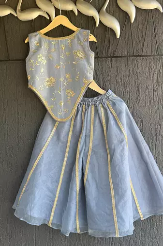 Blue printed organza co ord set