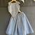Powder blue printed organza co ord set