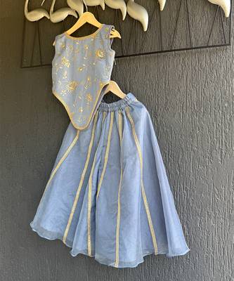 Powder blue printed organza co ord set 3