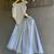 Powder blue printed organza co ord set