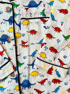 Dinasour printed night suit 5
