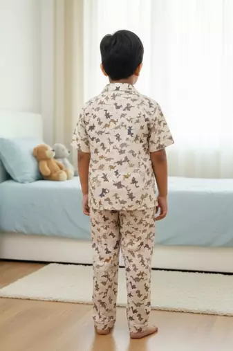 Dino print night suit
