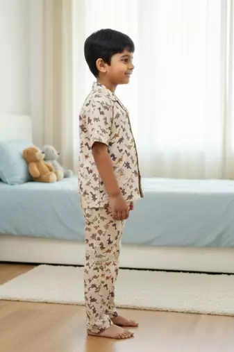 Dino print night suit