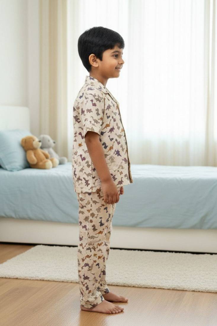 Dino print night suit