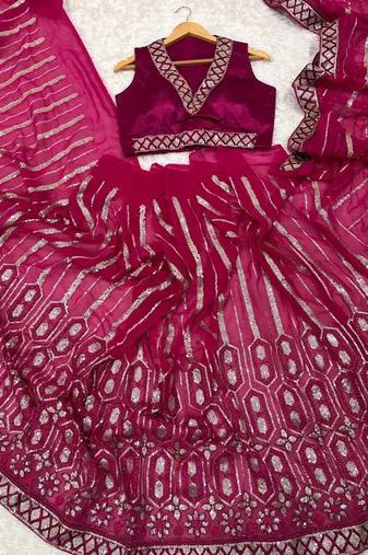 rani pink color sequins thread dori work Georgette saree