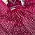 rani pink color sequins thread dori work Georgette saree