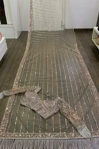 light brown color equence dori zari work jhalar border work Net saree