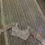 light brown color equence dori zari work jhalar border work Net saree