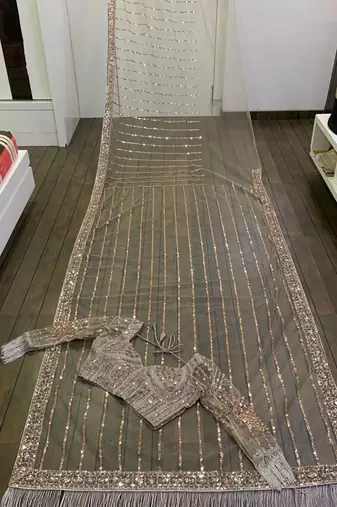 light brown color equence dori zari work jhalar border work Net saree