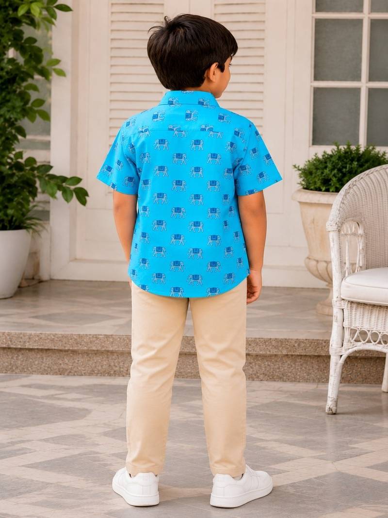 Boys sky blue elephant shirt
