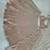 Women's Rose Gold & Silver Sequin Embroidered Lehenga Choli Set with Net Dupatta