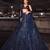 navy blue coloer sequins Dori work Net lehenga Choli Set 