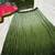 Olive Green color sequins thread work Chinon silk blend lehnga Choli Set