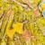 Heena green floral kurta set