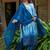 Women Dyed Regular Pure Cotton Kurta with Trousers & With Dupatta
