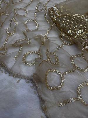 Cream Color  Beautiful sequins and Beads Embroidery Work with fancy latkan Net Saree 3
