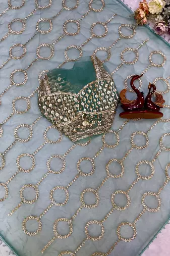 Sky Blue Color  Beautiful sequins and Beads Embroidery Work with fancy latkan Net Saree
