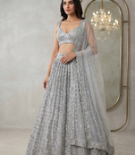 grey color Embellished With Jari Work Heavy Rainbow Dual Sequins Work Net Lehenga Choli Set
