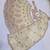 beige color Embroidery Cutwork Dori Heavy work Silk blend Lehenga Choli Set