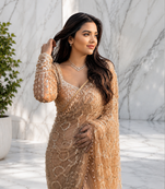 Beige color sequins and Beads Embroidery Work with fancy latkan net saree