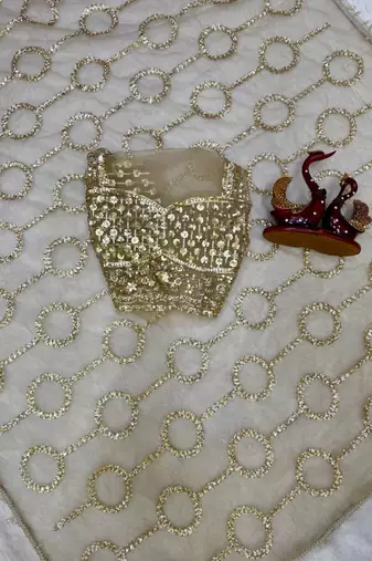 Beige color sequins and Beads Embroidery Work with fancy latkan net saree