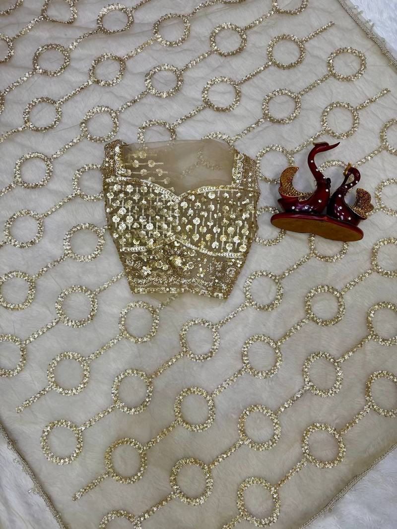 Beige color sequins and Beads Embroidery Work with fancy latkan net saree
