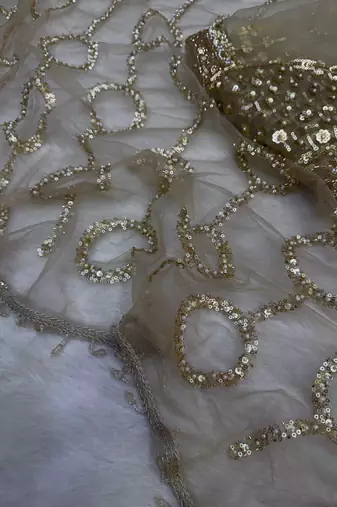 Beige color sequins and Beads Embroidery Work with fancy latkan net saree