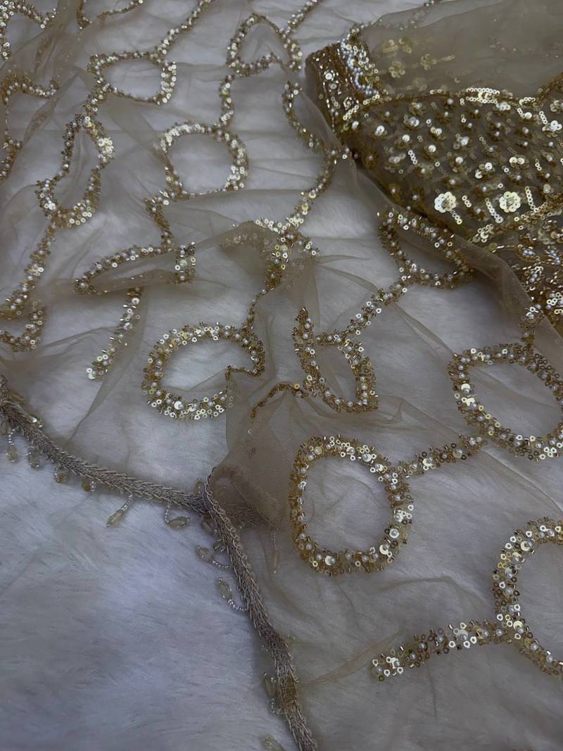 Beige color sequins and Beads Embroidery Work with fancy latkan net saree