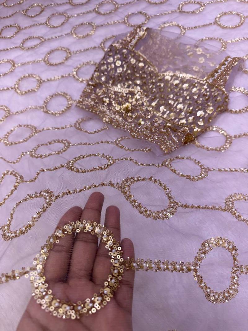 light pink color sequins and Beads Embroidery Work with fancy latkan net saree