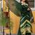 Women Dyed Regular Kurta with Palazzos & With Dupatta