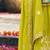 Women Ombre Embroidered Regular Mirror Work Kurta with Palazzos & With Dupatta