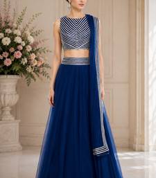 Blue Net Plain Crop Top Lehengas