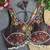 Black navratri multi mirror work apple cut blouse