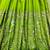 Green silk blend embroidered flared gown set