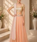 Peach Net Plain Crop Top Lehengas