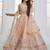 Peach Net sequin embroidered lehenga set with choli and Dupatta