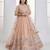 Peach Net sequin embroidered lehenga set with choli and Dupatta