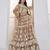 Beige Net sequin embroidered lehenga set with choli and Dupatta