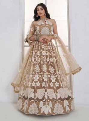 Beige Net sequin embroidered lehenga set with choli and Dupatta 3