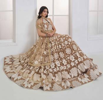 Beige Net sequin embroidered lehenga set with choli and Dupatta 4