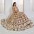 Beige Net sequin embroidered lehenga set with choli and Dupatta