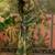 green linen cotton blend digital printed abstract saree