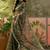 olive green linen cotton blend digital printed floral saree