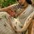 off white linen cotton blend digital printed floral saree