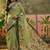 pista green linen cotton blend digital printed floral saree