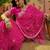 Pink bandhani printed saree with embroidered border
