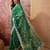 Green bandhani printed saree with embroidered border