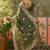 olive green embroidered saree with paisley motifs