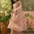 Blush pink embroidered sheer saree with floral motifs